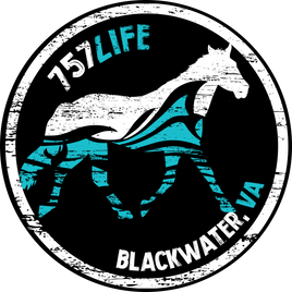 Blackwater: Horse