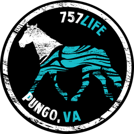 Pungo: Horse