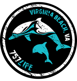 VB Dolphins