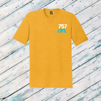 Mt. Trashmore: Skater Adult Triblend Short Sleeve Tee